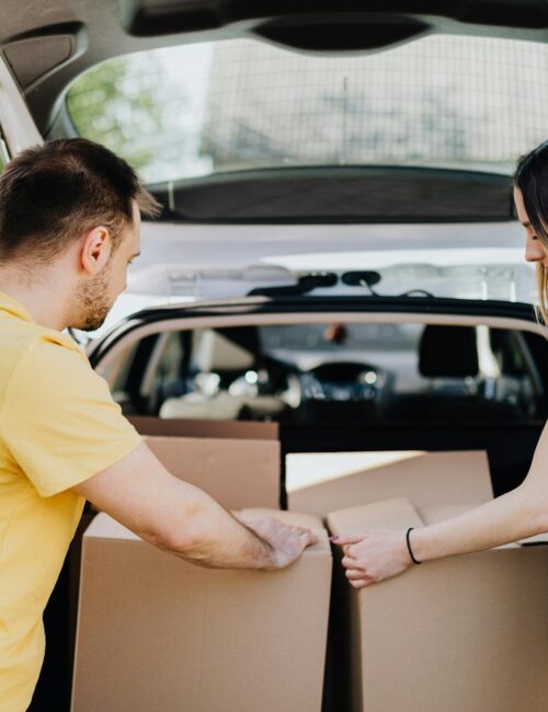 pexels-karolina-grabowska-4506215